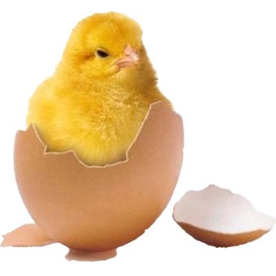 sdtc_web's profile picture. Site Web dédié à l'organisation et la participation à des sorties ou activités à proximité