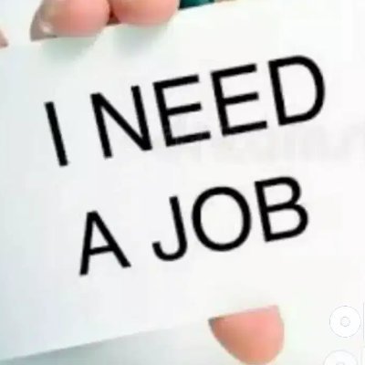 Ani97475678's profile picture. 