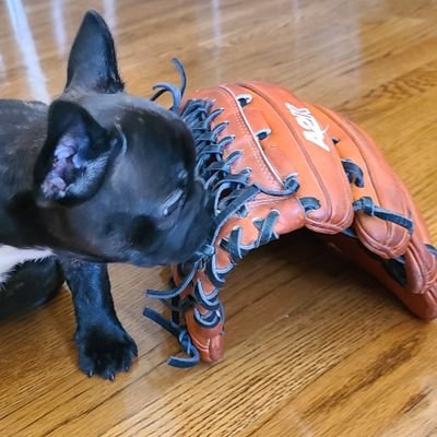 Kansas City Baseball Glove re-lacing and restoration. Fr info  email at kcgloveworks@gmail.com. I don't check DMs very often.