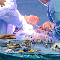Transplant & AHB Surgery (@uofutransplant) 's Twitter Profile