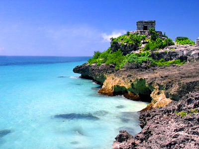 Queremos que conozcas la flora y fauna de Tulum junto con sus bellezas naturales 💚