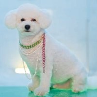 vivi | NOT LIMITED / active(@GiveawaysJoin) 's Twitter Profile Photo