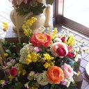 lucy  marino - @marinolucy - Twitter