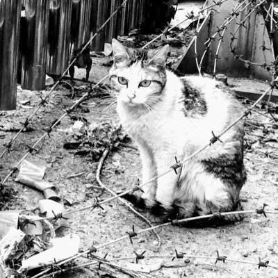 k_myng's profile picture. 