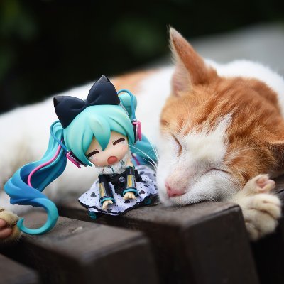 Anderson_H1989's profile picture. 越是美好的事物
越應該留在屬於它的地方