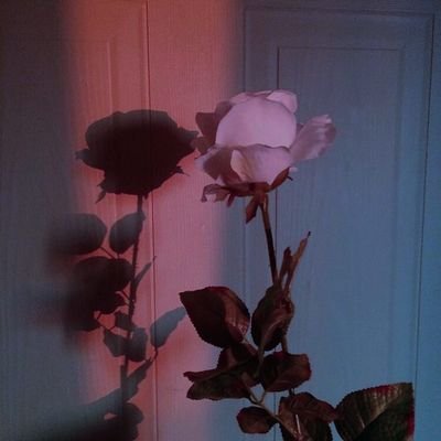 Sᴛᴀʏ Bʟɪɴᴅ..¹⁹
Here for GA. I want to be a giveaway host too but no money and income😭