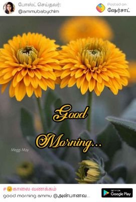 praveen9674's profile picture. WUMP