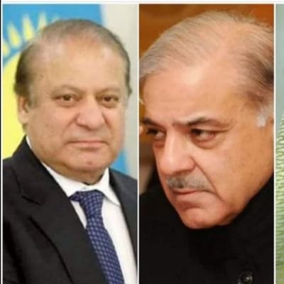 Ali________Raza's profile picture. 