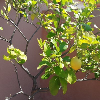 PuigGarangou's profile picture. 