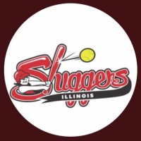 Illinois Sluggers ‘07 Premier (@sluggers_harms) 's Twitter Profile