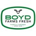 Boyd Farms Fresh (@farmsboyd) Twitter profile photo Boyd Farms Fresh (@farmsboyd) Twitter profile photo