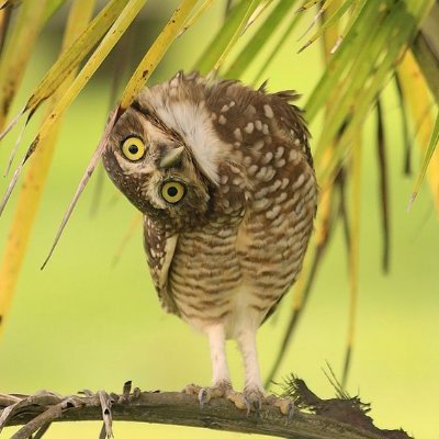 Analyzing anything and everything. https://t.co/mAgUGkhzXP