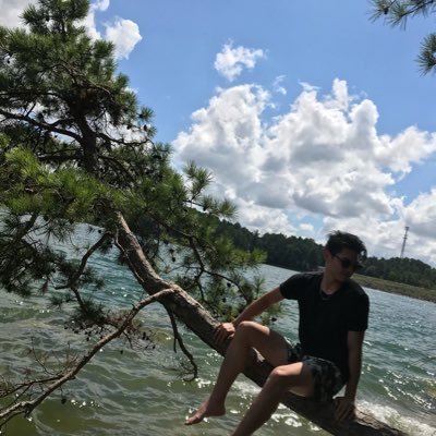 ZLTri_'s profile picture. Tri from QT