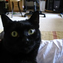 Amy Mak - @nrggirl888 - Twitter