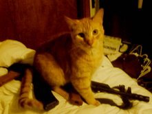 Helentheshrink's profile picture. Sometimes you have to take a stand