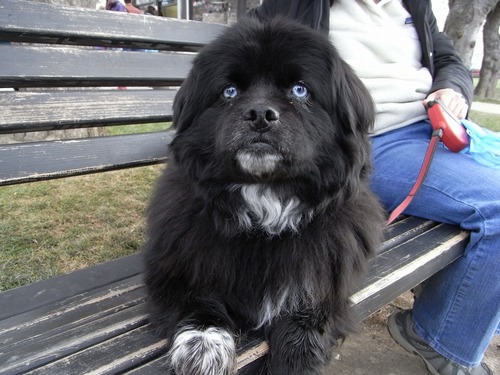 01Decodc's profile picture. 