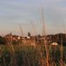 Parpeville (@parpeville_02) Twitter profile photo Parpeville (@parpeville_02) Twitter profile photo