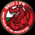 Wales2Win™ 🏴󠁧󠁢󠁷󠁬󠁳󠁿 (@Wales2Win) Twitter profile photo
