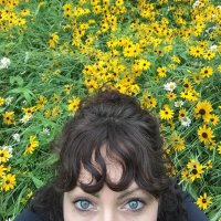 Lauren Quinn (@llcoolquinn) 's Twitter Profile