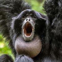 Brady (@bradysimps4you) 's Twitter Profile