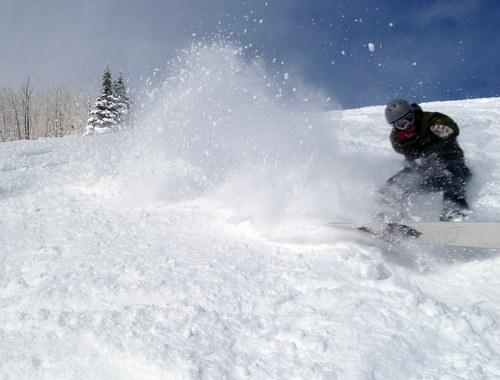 Shitmygradsays's profile picture. I like to tweet funny things my intelligent friends say