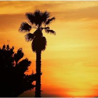 Stanleyfishy1x (@stanleyfishy) 's Twitter Profile