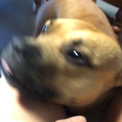 annonthedl's profile picture. all tweets are obviously my own. she/her