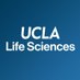 UCLA Life Sciences (@uclalifesci) Twitter profile photo UCLA Life Sciences (@uclalifesci) Twitter profile photo