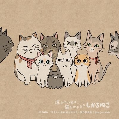 73さんのプロフィール画像