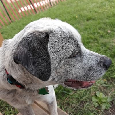 maralee7235's profile picture. 