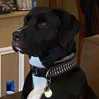 Bodie Bo (@bodiebo2) 's Twitter Profile