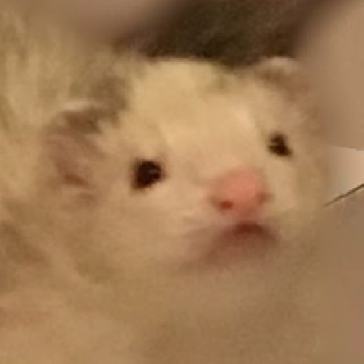 Suggum Dirt On Twitter I Just Want To Tell The Sonic Community One Thing If You Wish To Make An Oc You Should Join My Game Sonic Pulse It Has One Of The - oc you should join my game sonic pulse suggiem dirt twitter roblox Suggum Dirt On Twitter I Just Want To Tell The Sonic Community One Thing If You Wish To Make An Oc You Should Join My Game Sonic Pulse It Has One Of The - suggiem dirt twitter roblox