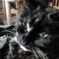 Jamie F (@jameth15) 's Twitter Profile