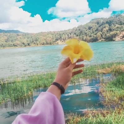 dnsnr8's profile picture. L'amore è necessario 🌸
A I L U R O P H I L E