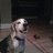 Rmcdowell8's profile image