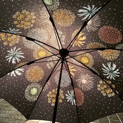 bonDbonT's profile picture. 🎆尺玉花火好き包まれましょ🎆 🌸四季をアクセントに🍁一年中盆踊り👘☺️👘世界中で盆踊り🌏bon-odori🍅
