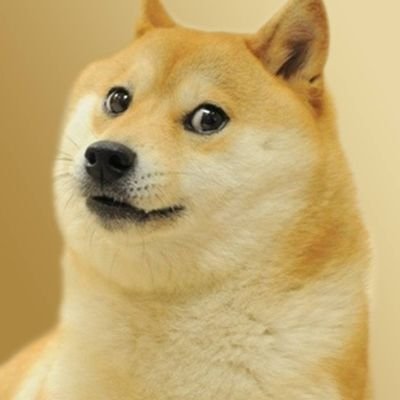 ezabxy159159's profile picture. 稱呼EZ、伊利即可，隨性發推。
雜談和轉貼一些感興趣之物。