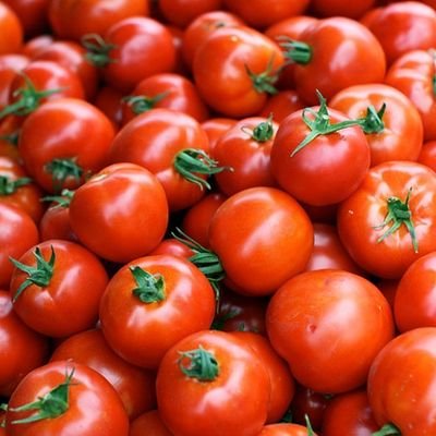 MrTomat87424669's profile picture. Follow Tweet and Likes together