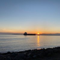 Arun (@arun31415) 's Twitter Profile