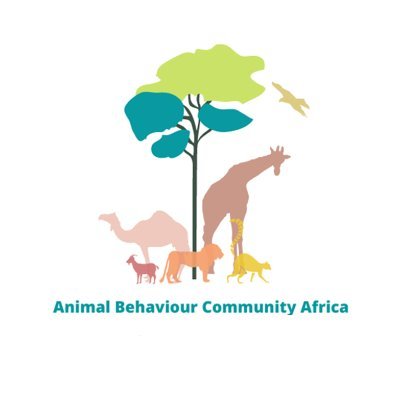 Our goal is to empower and boost the visibility of the research and early career researchers in animal behaviour in Africa.