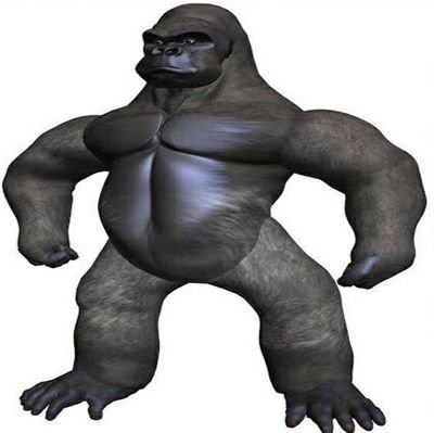 my son is sick help oe a 🦍
im do all job for son he need to be it like me trong gorilla to eat many banana🍌