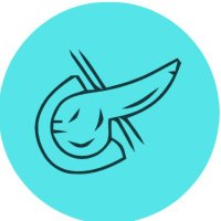 PancreasGroup.org (@pancreasgroup) Twitter profile photo