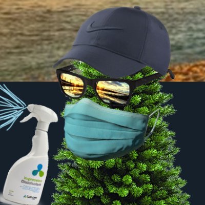 spruced_up's profile picture. Treet yo self