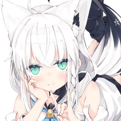 しろねこさんさんのプロフィール画像