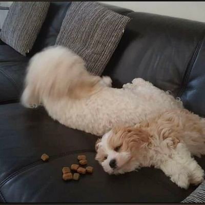 Mido88372170's profile picture. 