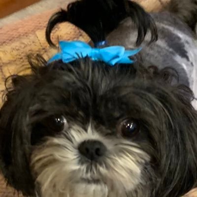 akacruise's profile picture. 