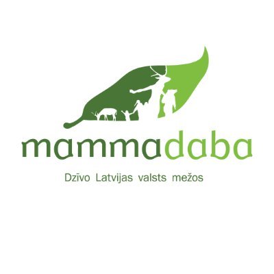 mammadaba