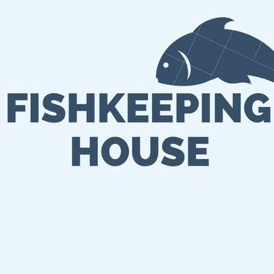 Fishkeeping House is a platform to help the people having fond of Fishkeeping and Aquariums by giving them quality information and knowledge about it.