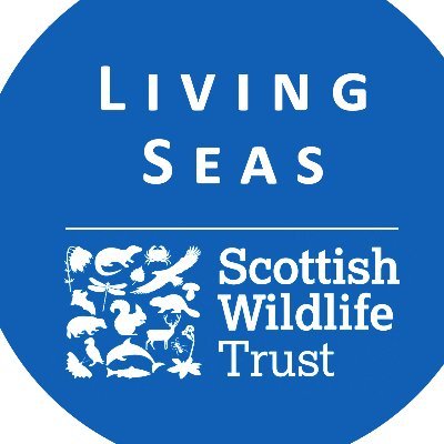 Scottish Wildlife Trust @ScotWildlife marine campaign to promote conservation and recovery of Scottish seas. @esmeefairbairn @EllermanUK @CGF_UK
📷 Alex Mustard