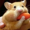 Fallon Henry - @fallonisfunn - Twitter